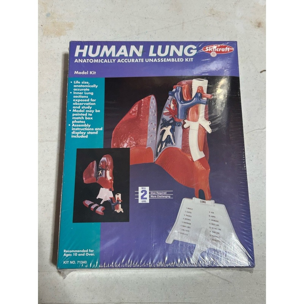 Skilcraft Human Lung Model Kit 71340 Anatomy Science Sealed New Made in USA